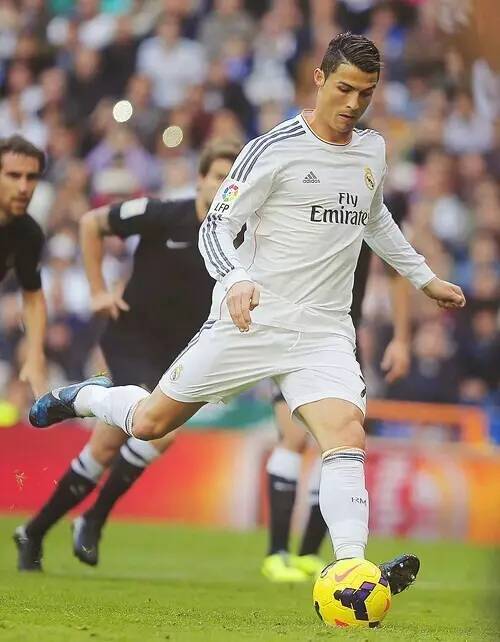 印证了这种 印证了这种