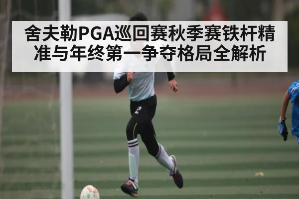 舍夫勒PGA巡回赛秋季赛铁杆精准与年终第一争夺格局全解析